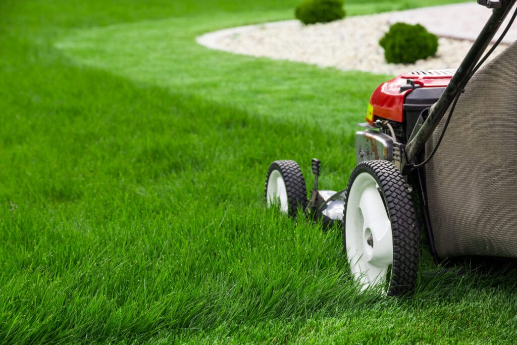 Achieve a Perfect Lawn Year-Round with Professional Mowing Services