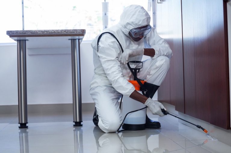 Credentials Matter: Understanding Licenses and Certifications for Pest Control Professionals