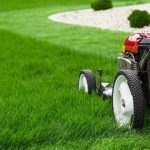 Achieve a Perfect Lawn Year-Round with Professional Mowing Services