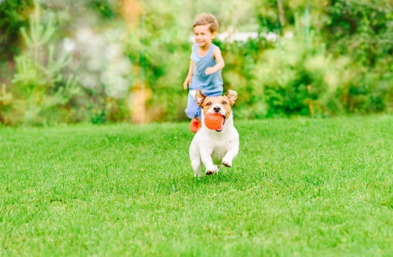 Commercial Lawn Mowing Services – Professional & Affordable