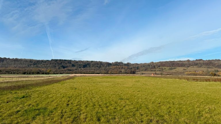 buildable land for sale